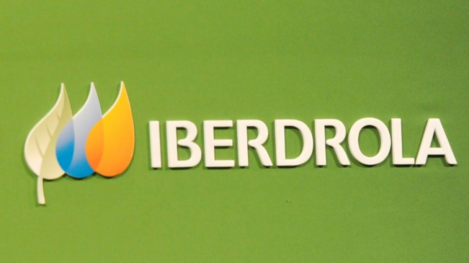 Iberdrola registra un beneficio en fuerte alza en plena escalada de precios de la energ&iacute;a