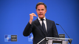 Niederlande: Nato-Chef strebt verteidigungsverwandte Ausgaben von f&uuml;nf Prozent des BIP an