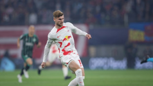 Germany striker Werner ruled out of World Cup with ankle injury