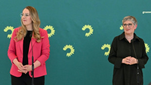 Grüne wollen bei Fraktionsklausur Lehren aus Ampel-Zeit ziehen