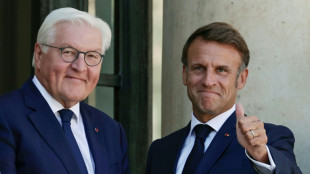 Bundespr&auml;sident Steinmeier zu Staatsbesuch in Frankreich erwartet 
