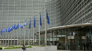 Stadt Br&uuml;ssel verbietet Leihroller wegen zahlreicher Unf&auml;lle