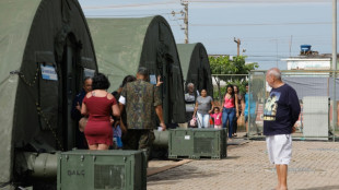 Sao Paulo y Rio de Janeiro, en alerta por dengue en vísperas del Carnaval