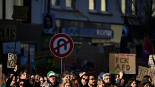Mobilisation nationale en Allemagne contre l'extr&ecirc;me droite