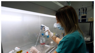 Biomateriali smart e staminali rigenerano le articolazioni