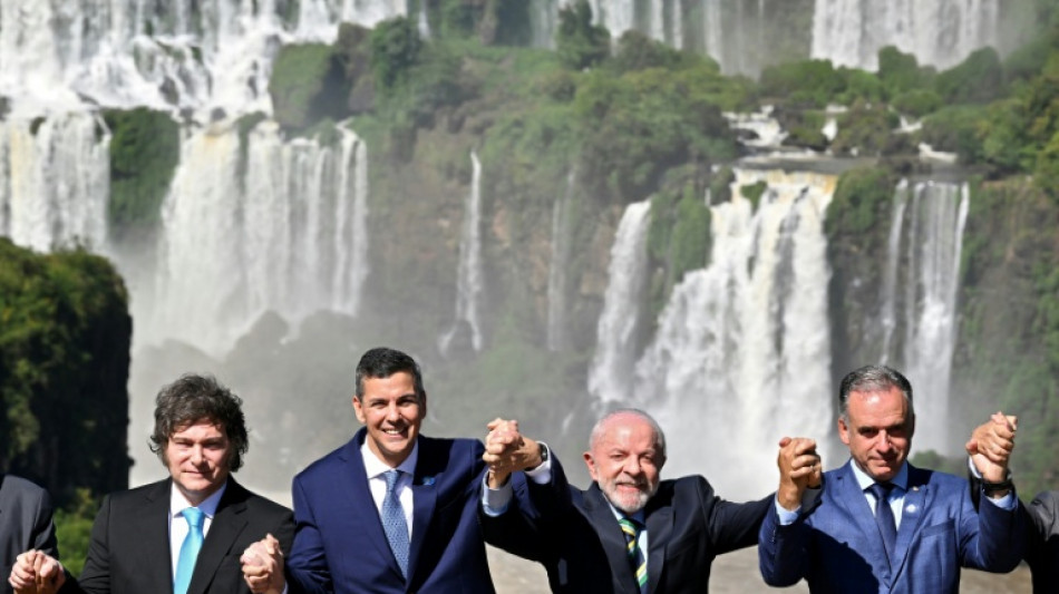 Brazil's Lula asks EU to show 'courage' and sign Mercosur trade deal