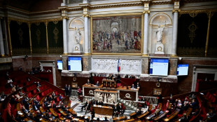 IVG dans la Constitution: l'Assembl&eacute;e d&eacute;bat, Dupond-Moretti promet de prendre "le temps qu'il faut"