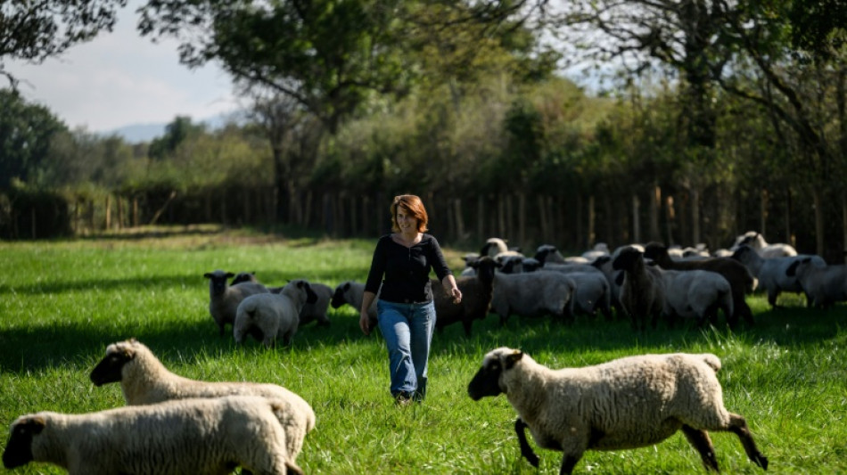 Une com&eacute;dienne devenue &eacute;leveuse, un pari fou sauv&eacute; par une fonci&egrave;re solidaire