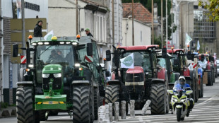 &iquest;Francia puede bloquear el acuerdo comercial entre la UE y el Mercosur?