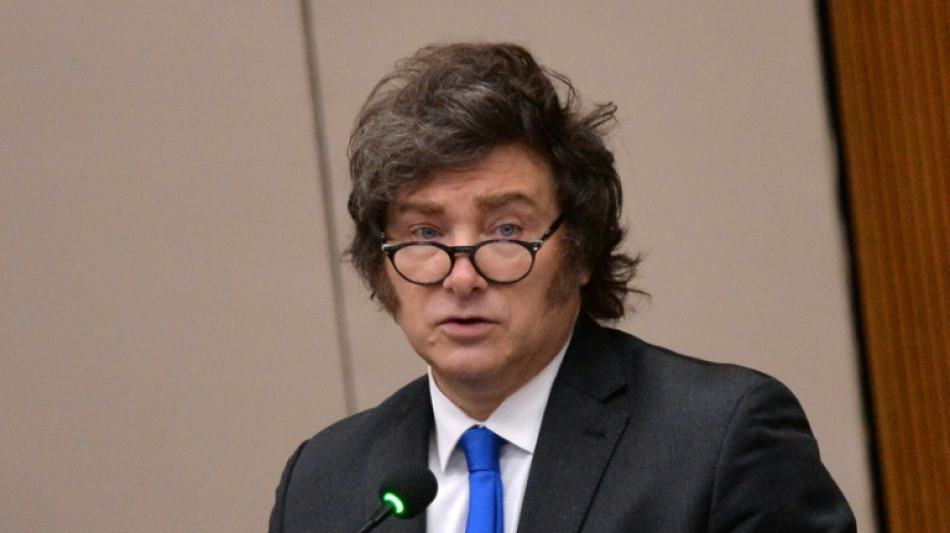 Milei atribui tempestade nos mercados financeiros da Argentina a 'pânico político'