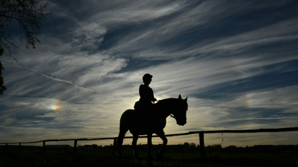 Le cheval, partenaire th&eacute;rapeutique de victimes de violences sexuelles
