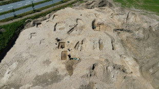 Une importante sépulture viking découverte au Danemark