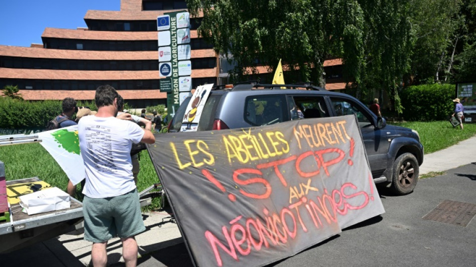 Loi Duplomb: des milliers d'opposants au texte mobilisés ce weekend en France