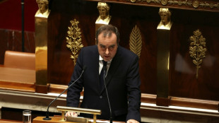 Frankreichs Premier schlägt Aussetzen der Rentenreform vor 