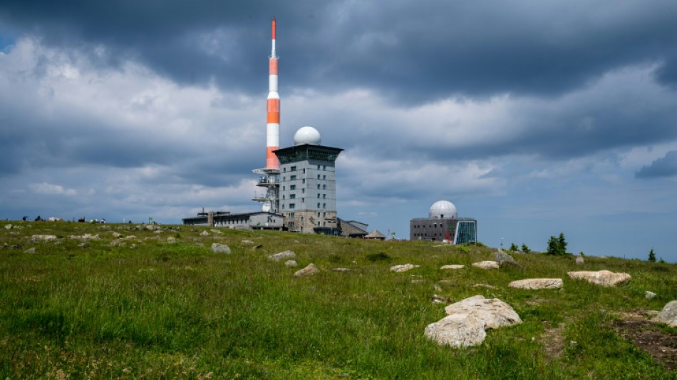Insgesamt 16 Waldbr&auml;nde im Harz im vergangenen Jahr
