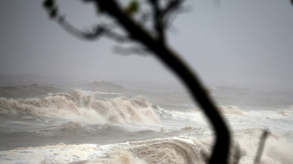 &Agrave; La R&eacute;union, les coraux lourdement endommag&eacute;s par le cyclone Garance