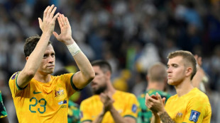 Socceroos say World Cup run 'puts Australian football on map'
