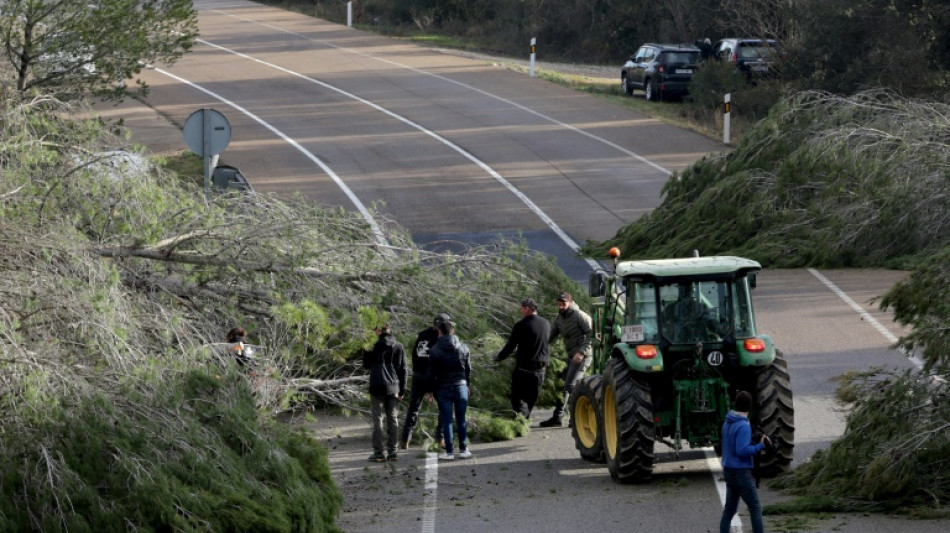 Agricultores espanh&oacute;is bloqueiam estradas perto da fronteira com a Fran&ccedil;a