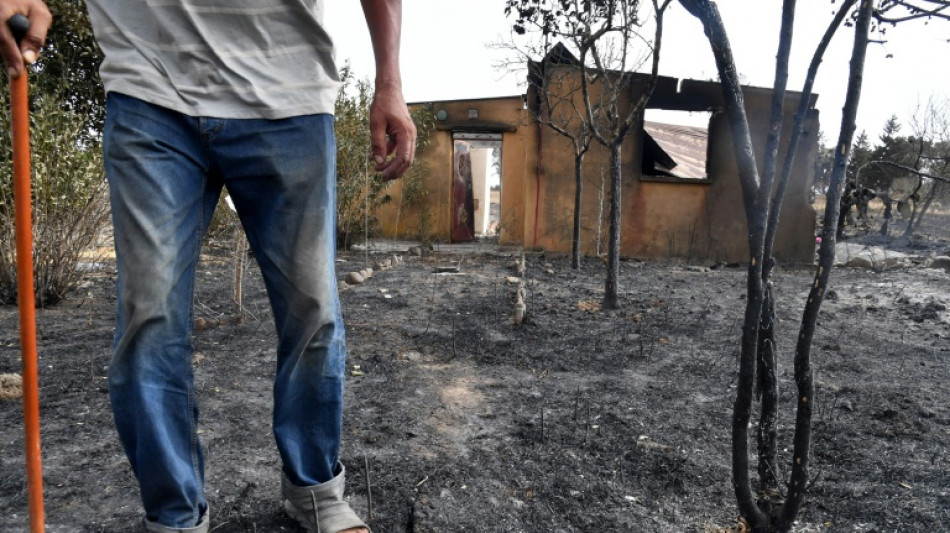 Al menos 43 personas murieron en los incendios en Argelia, seg&uacute;n un nuevo balance