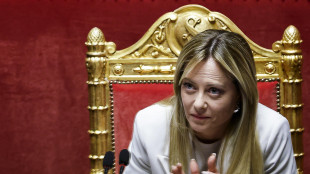 Meloni al G7, organizziamo un confronto con il Consiglio del Golfo