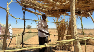 Deutschland veranstaltet Konferenz zu Krieg im Sudan - Hoffen auf humanit&auml;re Hilfe