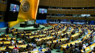 A l'ONU, les Palestiniens plaident contre l'occupation, Isra&euml;l d&eacute;nonce une "mascarade"