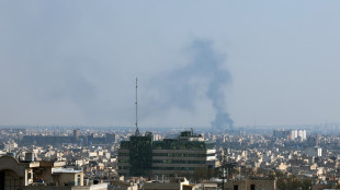 Iran, attacchi 'devastanti' contro Usa e Israele dopo minacce Trump