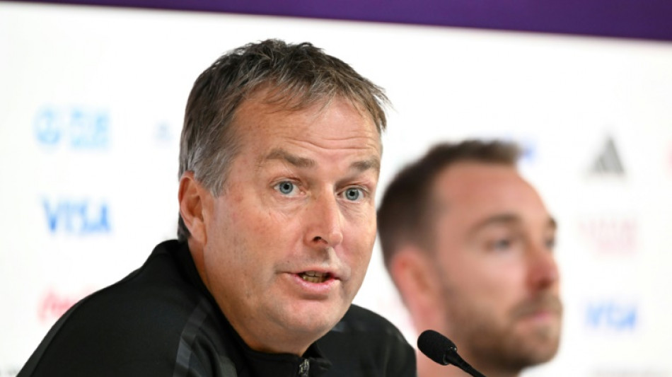 Denmark coach unafraid of 'spectacular' France at World Cup