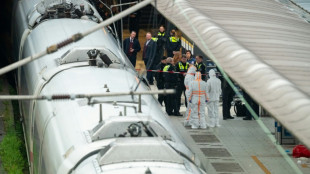 Attaque au couteau &agrave; Hambourg: la suspecte atteinte de troubles mentaux