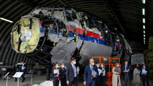 EuGH befasst sich mit Medienzugang zu Informationen &uuml;ber Abschuss von Flug MH17