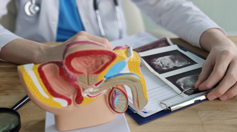 In Italia in 485mila uomini con tumore prostata. Stilata Carta delle domande