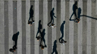 En marchant, les humains bougent plus que tous les animaux sauvages terrestres