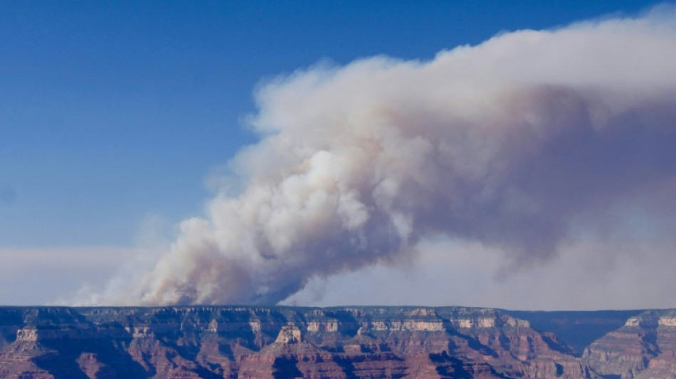 Waldbrand am Grand Canyon: Nordrand bleibt bis zum Saisonende 2025 gesperrt