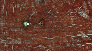 Cacau &eacute; valorizado como 'ouro' no Equador e atrai crime organizado