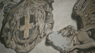 Le "visage d'ange" de Meloni effac&eacute; d'une fresque &agrave; Rome