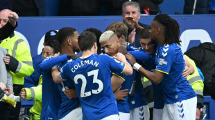 Angleterre: victoire vitale d'Everton, Arsenal et Tottenham ne se l&acirc;chent plus