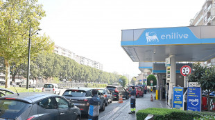 Fegica, 'il price cap deve essere messo dallo Stato, non dai privati'