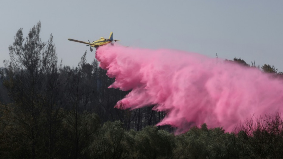 Des routes rouvertes en Isra&euml;l mais les pompiers luttent toujours contre le feu