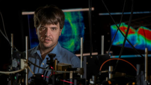 Ganador del Nobel de Medicina 2026 espera arrojar luces sobre el cerebro