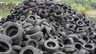 Intesa Cisambiente-Anas per impiego di pneumatici fuori uso