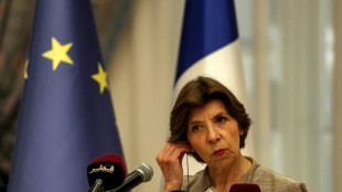 Frankreich wirft Russland Manipulationsversuch mit Hilfe gef&auml;lschter Websites vor 