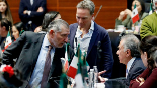 Congresistas de M&eacute;xico viajar&aacute;n a EEUU para intentar frenar el impuesto a las remesas