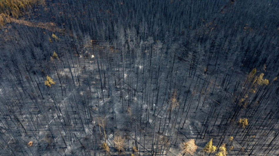 Los incendios forestales de Canad&aacute; no tienen precedentes en cifras