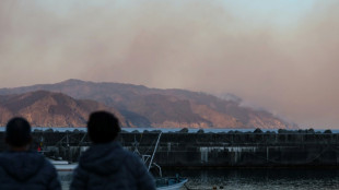 Des milliers d'habitants &eacute;vacu&eacute;s dans le nord du Japon, ravag&eacute; par des feux de for&ecirc;ts records