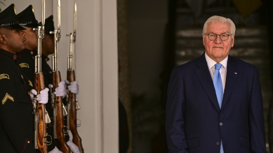 Steinmeier startet Kampagne zu neuem "Ehrentag" am 23. Mai