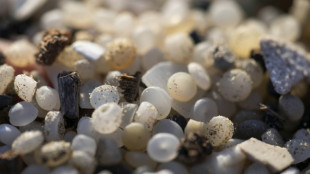 EU takes aim at plastic pellets to prevent their nightmare cleanup