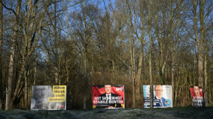 Wahl-O-Mat f&uuml;r Bundestagswahl wird freigeschaltet