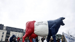 Fonti Ue, 'voto contrario dell'Eurocamera sul Mercosur fermerebbe iter di ratifica'