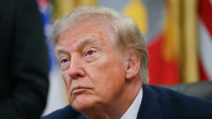 Zelensky surprised, Moscow mum as Trump announces energy ceasefire