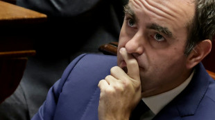El primer ministro francés escapa por poco a la censura